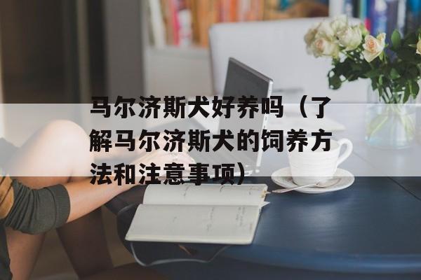 马尔济斯犬好养吗（了解马尔济斯犬的饲养方法和注意事项）-第1张图片-