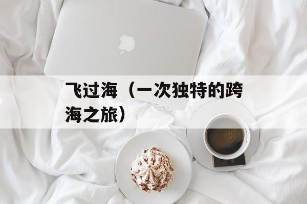 飞过海（一次独特的跨海之旅）-第1张图片-