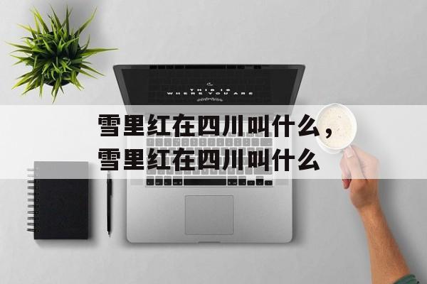 雪里红在四川叫什么，雪里红在四川叫什么-第1张图片-