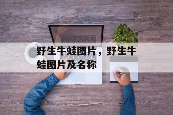 野生牛蛙图片，野生牛蛙图片及名称-第1张图片-