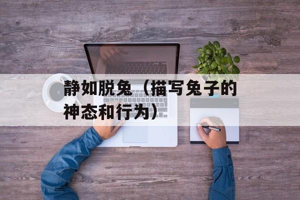 静如脱兔（描写兔子的神态和行为）-第1张图片-