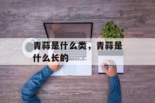 青蒜是什么类，青蒜是什么长的-第1张图片-
