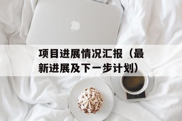 项目进展情况汇报（最新进展及下一步计划）-第1张图片-