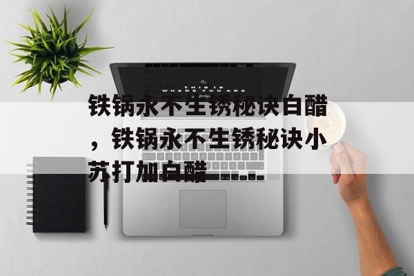铁锅永不生锈秘诀白醋，铁锅永不生锈秘诀小苏打加白醋-第1张图片-