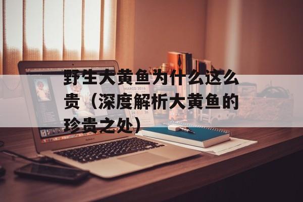 野生大黄鱼为什么这么贵（深度解析大黄鱼的珍贵之处）-第1张图片-