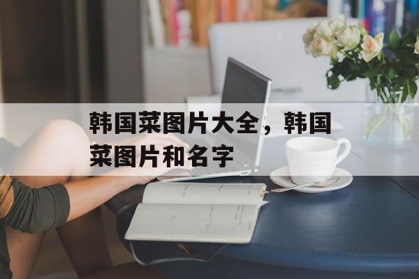 韩国菜图片大全，韩国菜图片和名字-第1张图片-