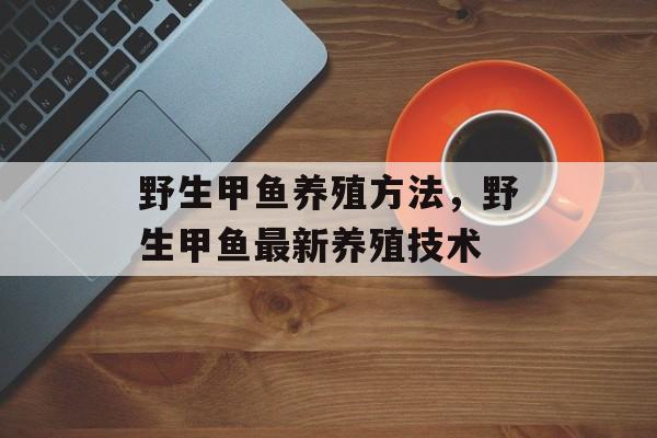 野生甲鱼养殖方法，野生甲鱼最新养殖技术-第1张图片-