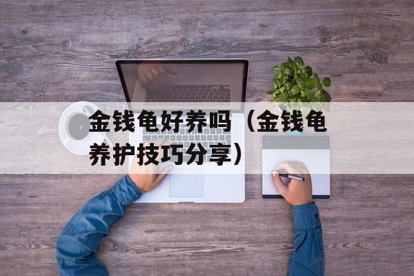 金钱龟好养吗（金钱龟养护技巧分享）-第1张图片-