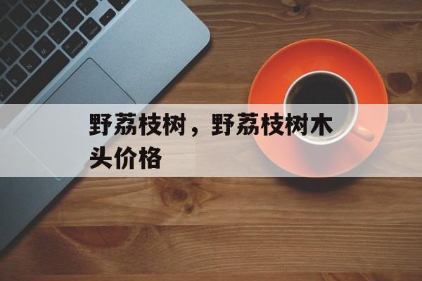 野荔枝树，野荔枝树木头价格-第1张图片-