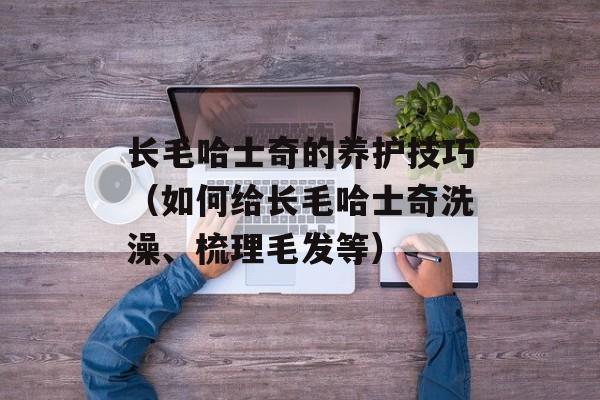 长毛哈士奇的养护技巧（如何给长毛哈士奇洗澡、梳理毛发等）-第1张图片-