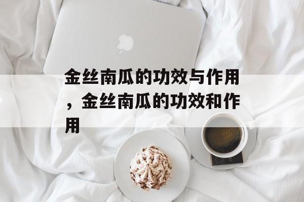 金丝南瓜的功效与作用，金丝南瓜的功效和作用-第1张图片-