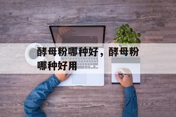 酵母粉哪种好，酵母粉哪种好用-第1张图片-