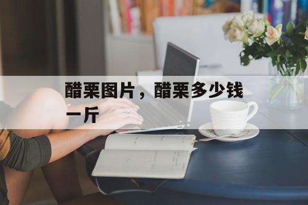 醋栗图片，醋栗多少钱一斤-第1张图片-