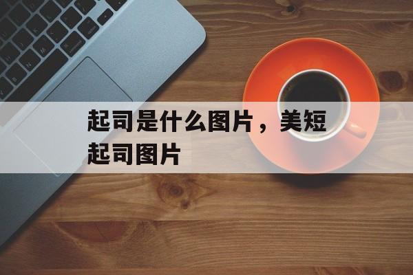 起司是什么图片，美短起司图片-第1张图片-