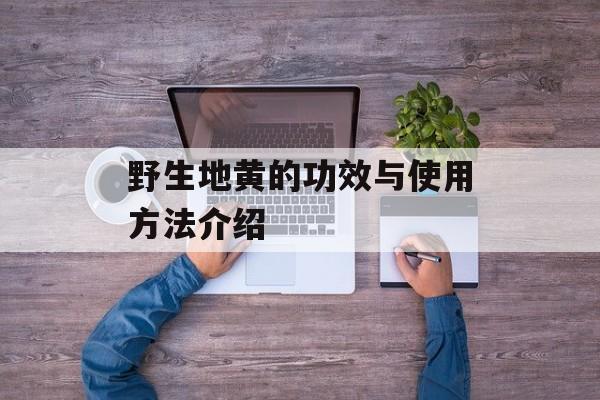野生地黄的功效与使用方法介绍-第1张图片-