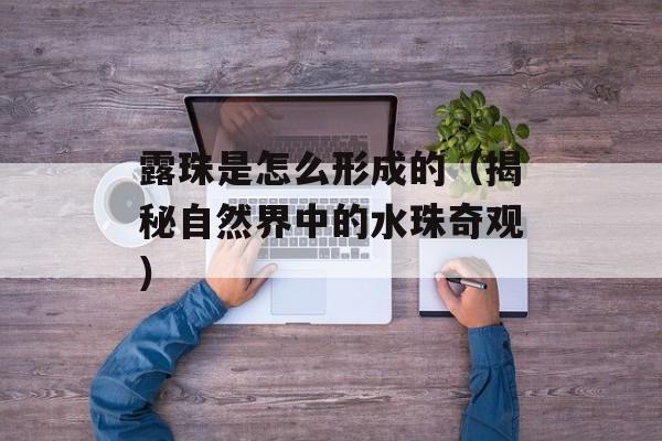 露珠是怎么形成的（揭秘自然界中的水珠奇观）-第1张图片-