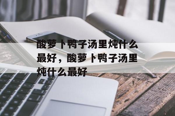 酸萝卜鸭子汤里炖什么最好，酸萝卜鸭子汤里炖什么最好-第1张图片-