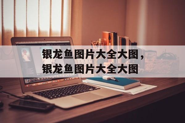 银龙鱼图片大全大图，银龙鱼图片大全大图-第1张图片-