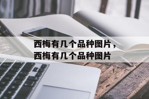 西梅有几个品种图片，西梅有几个品种图片-第1张图片-