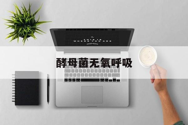 酵母菌无氧呼吸-第1张图片-
