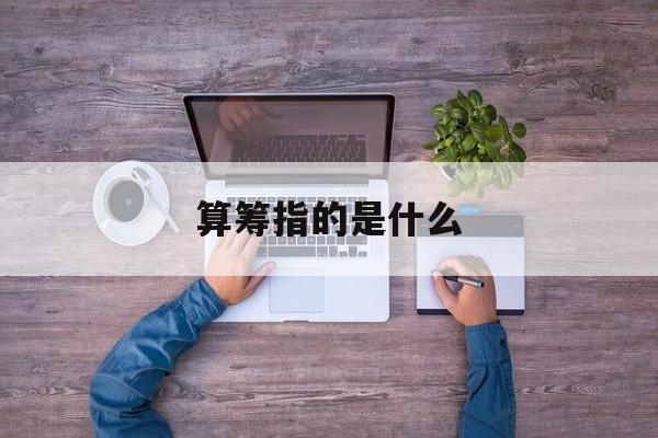 算筹指的是什么-第1张图片-