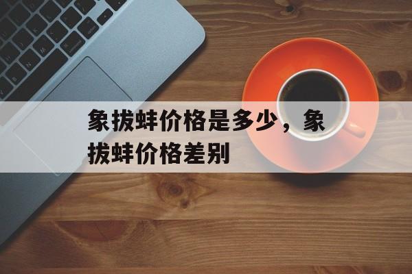 象拔蚌价格是多少，象拔蚌价格差别-第1张图片-