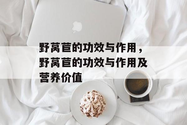 野莴苣的功效与作用，野莴苣的功效与作用及营养价值-第1张图片-