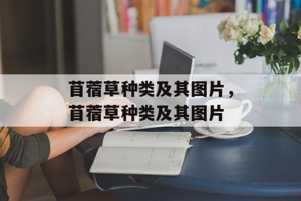 苜蓿草种类及其图片，苜蓿草种类及其图片-第1张图片-