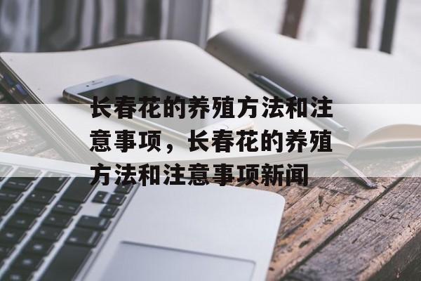长春花的养殖方法和注意事项，长春花的养殖方法和注意事项新闻-第1张图片-