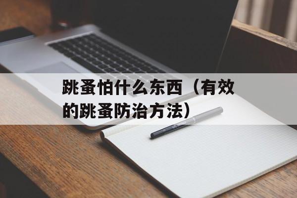 跳蚤怕什么东西（有效的跳蚤防治方法）-第1张图片-