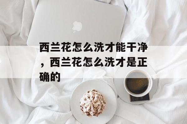 西兰花怎么洗才能干净，西兰花怎么洗才是正确的-第1张图片-