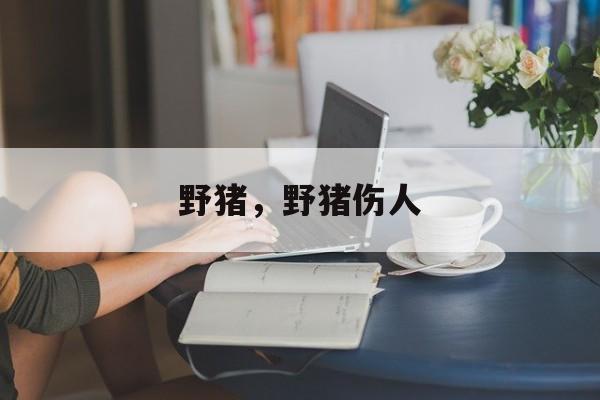 野猪，野猪伤人-第1张图片-