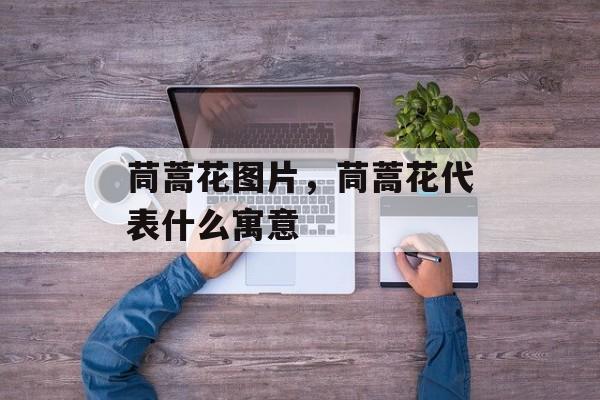 茼蒿花图片，茼蒿花代表什么寓意-第1张图片-