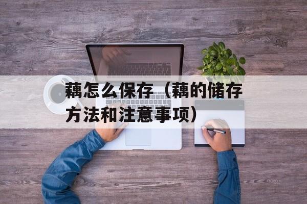 藕怎么保存（藕的储存方法和注意事项）-第1张图片-