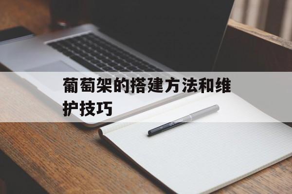 葡萄架的搭建方法和维护技巧-第1张图片-