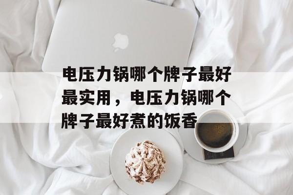 电压力锅哪个牌子最好最实用，电压力锅哪个牌子最好煮的饭香-第1张图片-