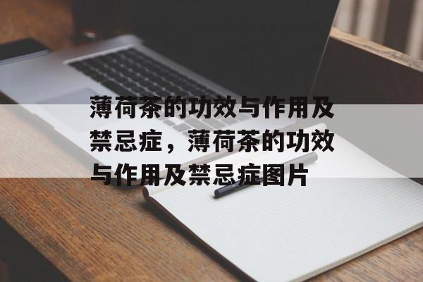 薄荷茶的功效与作用及禁忌症，薄荷茶的功效与作用及禁忌症图片-第1张图片-