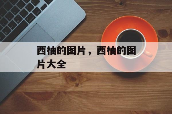 西柚的图片，西柚的图片大全-第1张图片-