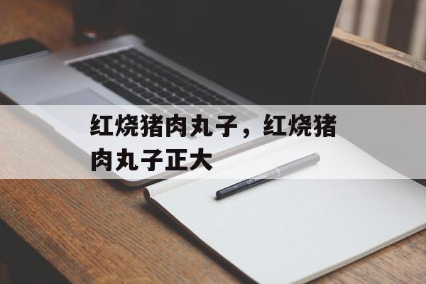 红烧猪肉丸子，红烧猪肉丸子正大-第1张图片-