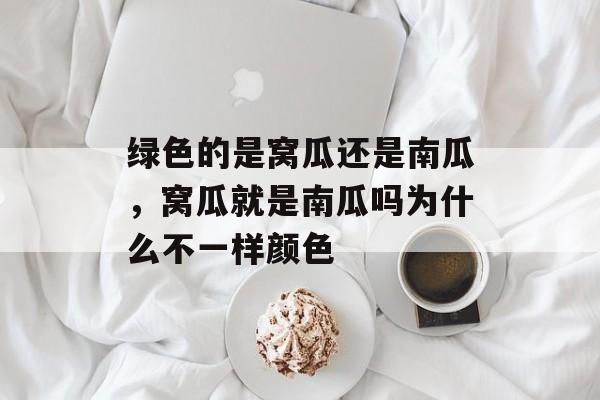 绿色的是窝瓜还是南瓜，窝瓜就是南瓜吗为什么不一样颜色-第1张图片-