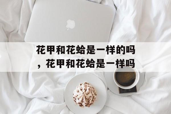 花甲和花蛤是一样的吗，花甲和花蛤是一样吗-第1张图片-