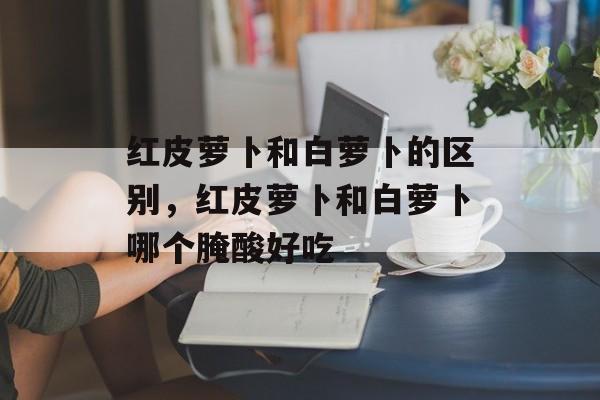 红皮萝卜和白萝卜的区别，红皮萝卜和白萝卜哪个腌酸好吃-第1张图片-