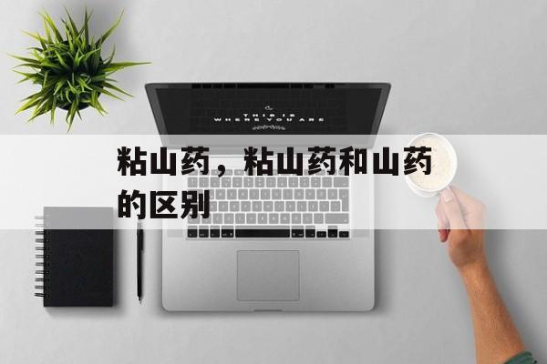 粘山药，粘山药和山药的区别-第1张图片-