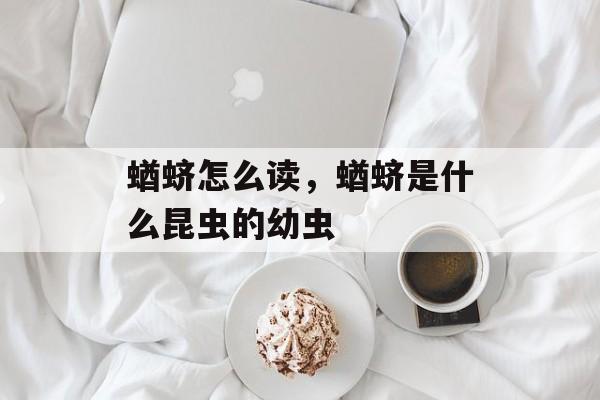 蝤蛴怎么读，蝤蛴是什么昆虫的幼虫-第1张图片-