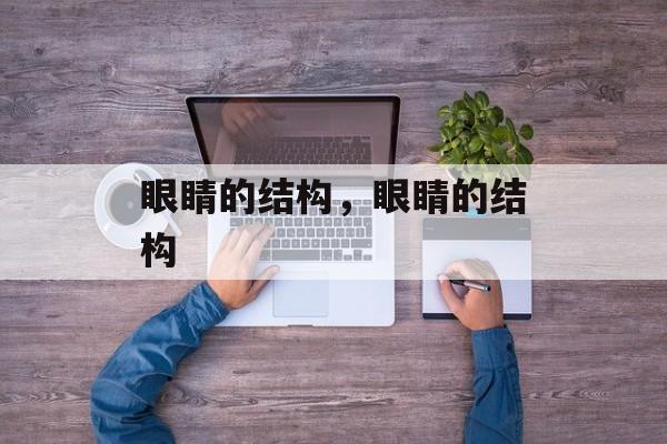 眼睛的结构，眼睛的结构-第1张图片-