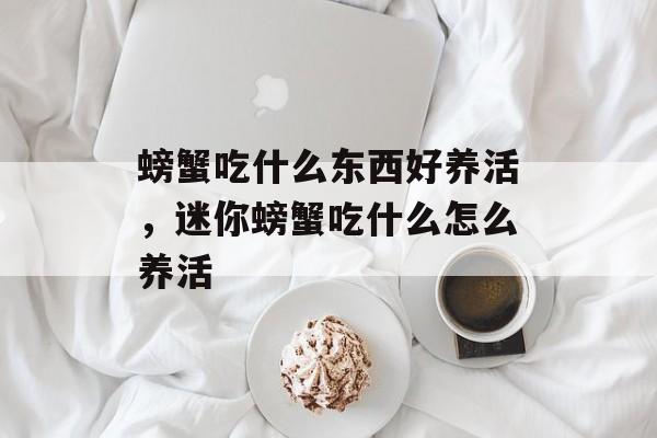 螃蟹吃什么东西好养活，迷你螃蟹吃什么怎么养活-第1张图片-