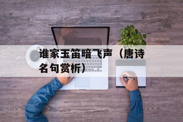 谁家玉笛暗飞声（唐诗名句赏析）-第1张图片-