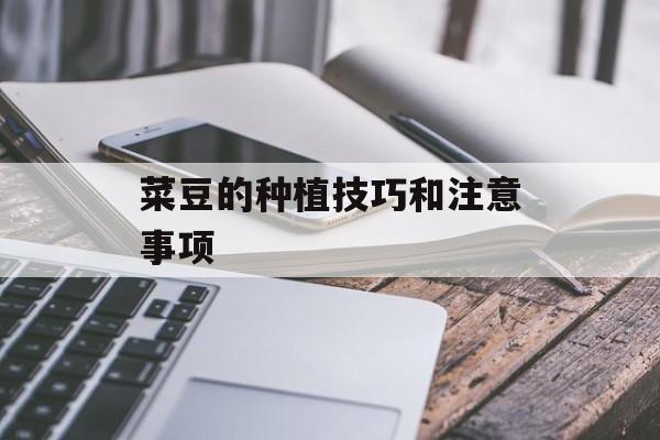 菜豆的种植技巧和注意事项-第1张图片-