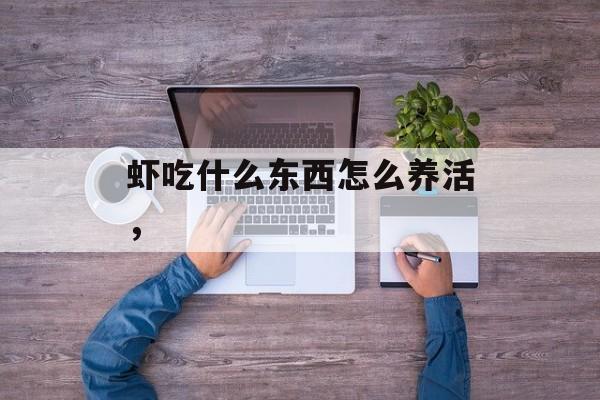 虾吃什么东西怎么养活，-第1张图片-