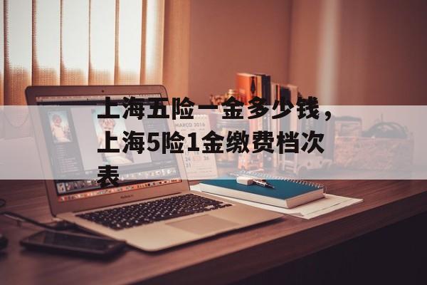 上海五险一金多少钱，上海5险1金缴费档次表-第1张图片-